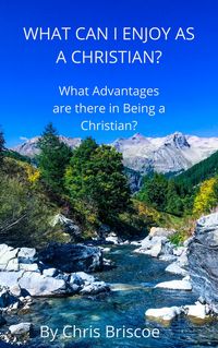 Produktbild: What Can I Enjoy as a Christian (What it means to be a Christian, #1)
