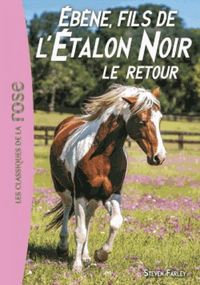 Produktbild: L'&eacute;talon noir