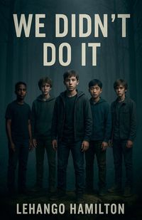 Produktbild: We Didn't Do It