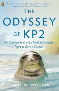 Produktbild: The Odyssey of KP2