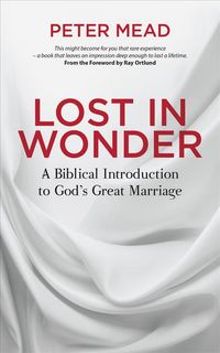 Produktbild: Lost in Wonder