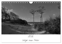 Produktbild: Wege zum Meer (Wandkalender 2026 DIN A4 quer), CALVENDO Monatskalender