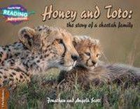 Produktbild: Cambridge Reading Adventures Honey and Toto: The Story of a Cheetah Family 1 Pathfinders