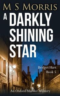 Produktbild: A Darkly Shining Star