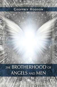 Produktbild: The Brotherhood of Angels and Men