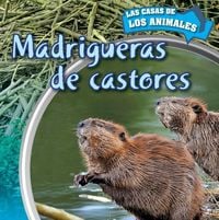 Produktbild: Madrigueras de Castores (Inside Beaver Lodges)