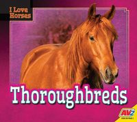 Produktbild: Thoroughbreds
