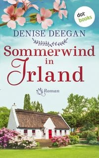 Produktbild: Sommerwind in Irland - oder: Zwischen dir und mir der Himmel