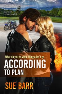 Produktbild: According to Plan