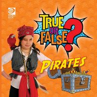 Produktbild: True or False? Pirates