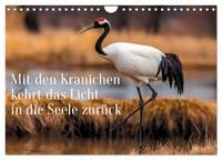 Produktbild: Mit den Kranichen kehrt das Licht in die Seele zur&uuml;ck (Wandkalender 2027 DIN A4 quer), CALVENDO Monatskalender
