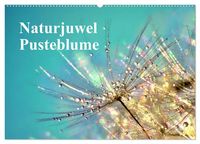 Produktbild: Naturjuwel Pusteblume (Wandkalender 2026 DIN A2 quer), CALVENDO Monatskalender