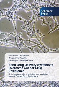 Produktbild: Nano Drug Delivery Systems to Overcome Cancer Drug Resistance