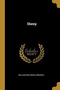 Produktbild: Sheep