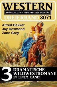 Produktbild: Western Dreierband 3071