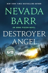 Produktbild: Destroyer Angel