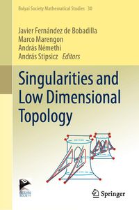Produktbild: Singularities and Low Dimensional Topology