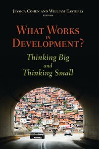 Produktbild: What Works in Development?