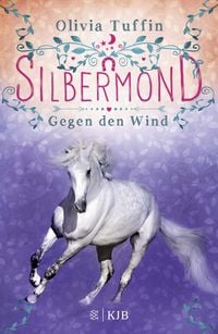 Produktbild: Silbermond: Gegen den Wind