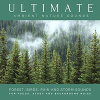 Produktbild: Ultimate Ambient Nature Sounds (XXL Bundle)