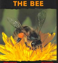 Produktbild: The Bee: Friend of the Flowers