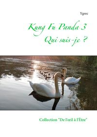 Produktbild: Kung Fu Panda 3