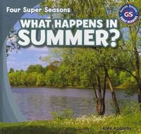 Produktbild: What Happens in Summer?