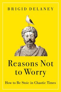 Produktbild: Reasons Not to Worry