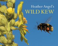 Produktbild: Heather Angels Wild Kew
