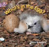 Produktbild: What's in the Egg?