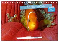 Produktbild: Anemonefish - always busy - always on the move (Wall Calendar 2027 DIN A4 landscape), CALVENDO 12 Month Wall Calendar