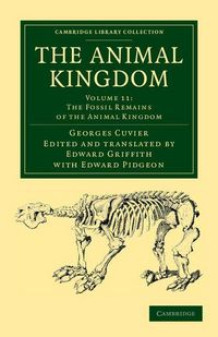Produktbild: The Animal Kingdom - Volume 11