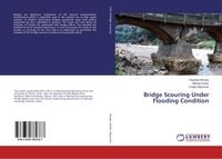 Produktbild: Bridge Scouring Under Flooding Condition
