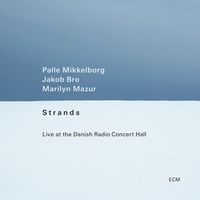 Bild vom Artikel Strands - Live at the Danish Radio Concert Hall vom Autor Palle Mikkelborg