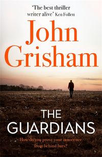 Bild vom Artikel The Guardians vom Autor John Grisham