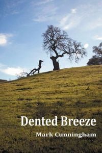 Produktbild: Dented Breeze