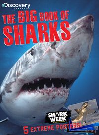 Produktbild: Bbo Sharks