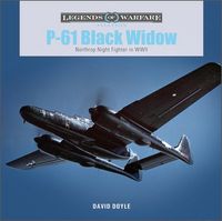 Produktbild: P-61 Black Widow