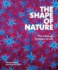 Produktbild: The Shape of Nature