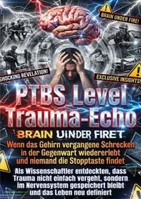 Produktbild: PTBS Level Trauma-Echo: Wenn das Gehirn vergangene Schrecken in der Gegenwart wiedererlebt und niemand die Stopptaste findet
