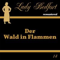 Produktbild: Folge 14: Der Wald in Flammen