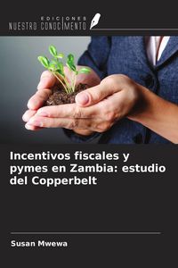Produktbild: Incentivos fiscales y pymes en Zambia: estudio del Copperbelt