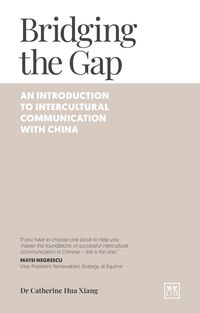 Produktbild: Bridging the Gap