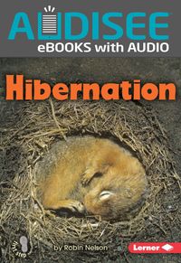 Produktbild: Hibernation