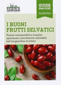 Produktbild: I buoni frutti selvatici. Piante commestibili e insolite, spontanee o facilmente coltivabili nel tuo giardino-frutteto