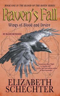 Produktbild: Raven's Fall