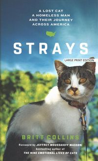 Produktbild: Strays
