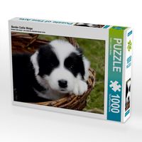 Produktbild: CALVENDO Puzzle Border Collie Welpe | 1000 Teile Lege-Gr&ouml;&szlig;e 64x48cm Foto-Puzzle f&uuml;r gl&uuml;ckliche Stunden