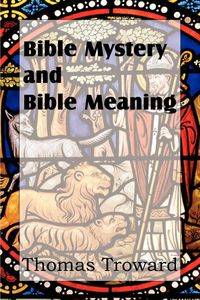 Produktbild: Bible Mystery and Bible Meaning