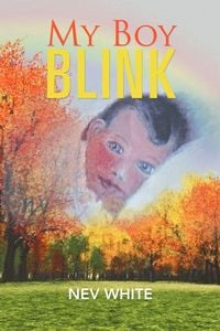 Produktbild: My Boy Blink